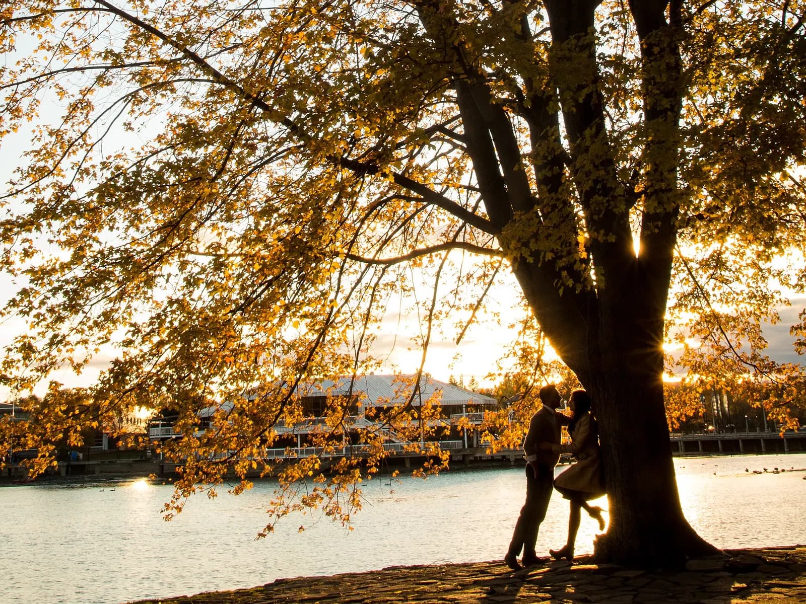 Foto: pareja en un mirador